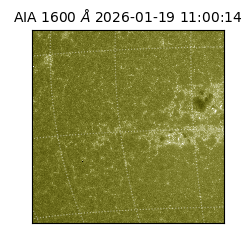 saia - 2026-01-19T11:00:14.130000