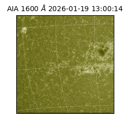 saia - 2026-01-19T13:00:14.130000