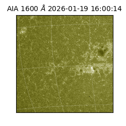 saia - 2026-01-19T16:00:14.130000