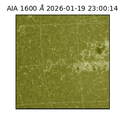 saia - 2026-01-19T23:00:14.130000