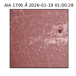 saia - 2026-01-19T01:00:28.721000