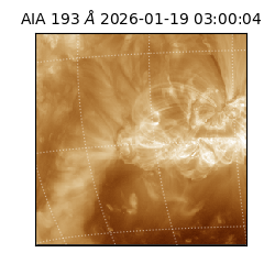 saia - 2026-01-19T03:00:04.843000