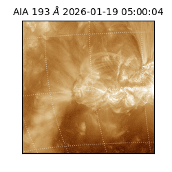 saia - 2026-01-19T05:00:04.840000