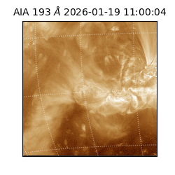 saia - 2026-01-19T11:00:04.840000