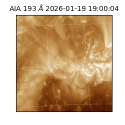 saia - 2026-01-19T19:00:04.850000