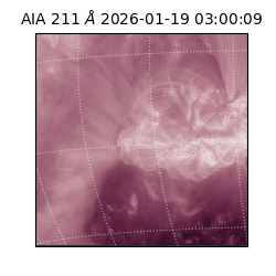 saia - 2026-01-19T03:00:09.625000