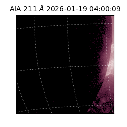 saia - 2026-01-19T04:00:09.630000