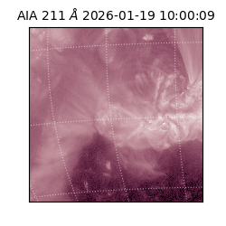 saia - 2026-01-19T10:00:09.630000