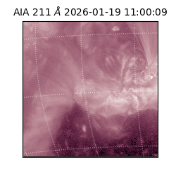 saia - 2026-01-19T11:00:09.630000