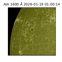 saia - 2026-01-19T01:00:14.125000