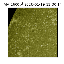 saia - 2026-01-19T11:00:14.130000