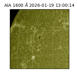 saia - 2026-01-19T13:00:14.130000