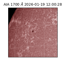 saia - 2026-01-19T12:00:28.720000