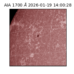 saia - 2026-01-19T14:00:28.740000