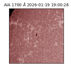 saia - 2026-01-19T19:00:28.720000