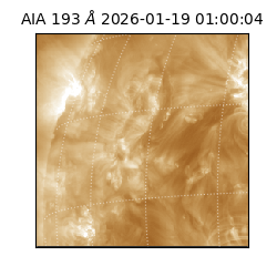 saia - 2026-01-19T01:00:04.843000