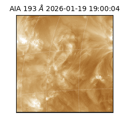 saia - 2026-01-19T19:00:04.850000