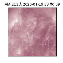 saia - 2026-01-19T03:00:09.625000