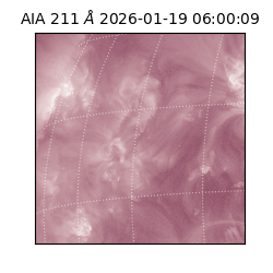 saia - 2026-01-19T06:00:09.630000