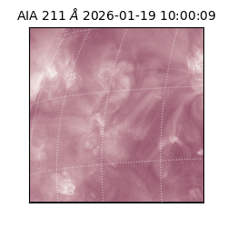 saia - 2026-01-19T10:00:09.630000