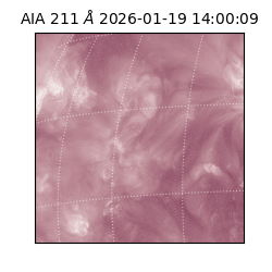 saia - 2026-01-19T14:00:09.640000