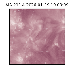 saia - 2026-01-19T19:00:09.630000
