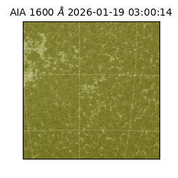 saia - 2026-01-19T03:00:14.126000