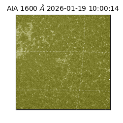 saia - 2026-01-19T10:00:14.130000