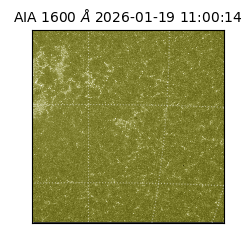 saia - 2026-01-19T11:00:14.130000
