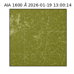 saia - 2026-01-19T13:00:14.130000