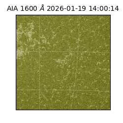 saia - 2026-01-19T14:00:14.130000