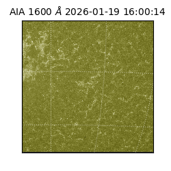 saia - 2026-01-19T16:00:14.130000