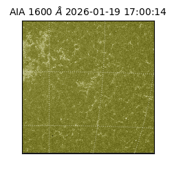 saia - 2026-01-19T17:00:14.130000