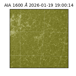 saia - 2026-01-19T19:00:14.130000