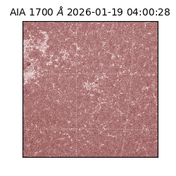 saia - 2026-01-19T04:00:28.720000