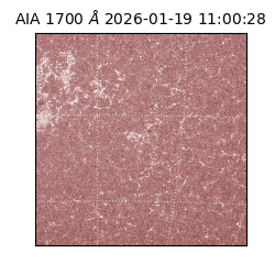 saia - 2026-01-19T11:00:28.710000