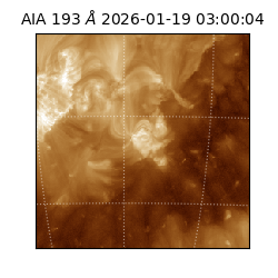 saia - 2026-01-19T03:00:04.843000