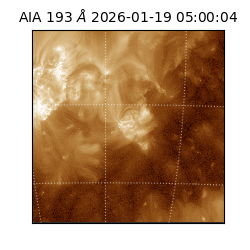 saia - 2026-01-19T05:00:04.840000