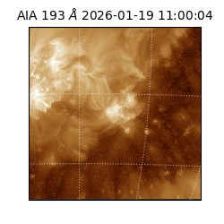 saia - 2026-01-19T11:00:04.840000