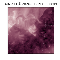 saia - 2026-01-19T03:00:09.625000