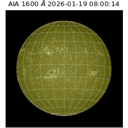 saia - 2026-01-19T08:00:14.120000