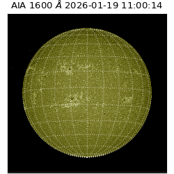 saia - 2026-01-19T11:00:14.130000