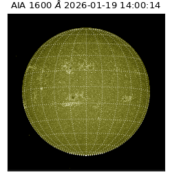 saia - 2026-01-19T14:00:14.130000