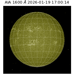 saia - 2026-01-19T17:00:14.130000