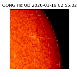 gong - 2026-01-19T02:55:02
