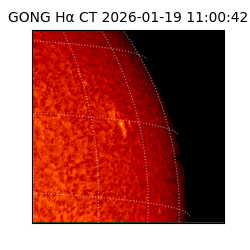 gong - 2026-01-19T11:00:42