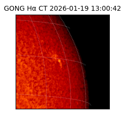 gong - 2026-01-19T13:00:42