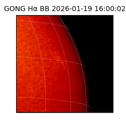 gong - 2026-01-19T16:00:02