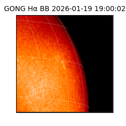 gong - 2026-01-19T19:00:02