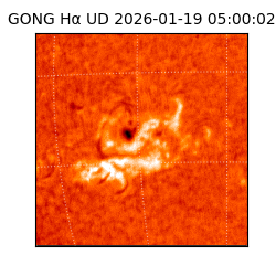 gong - 2026-01-19T05:00:02